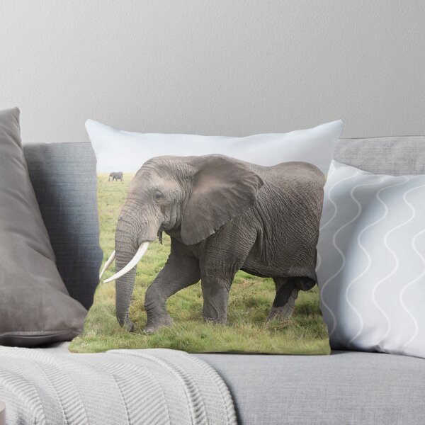 Item preview, Bull Elephant Following the Herd, Amboseli, Kenya designed and sold by Carole-Anne.