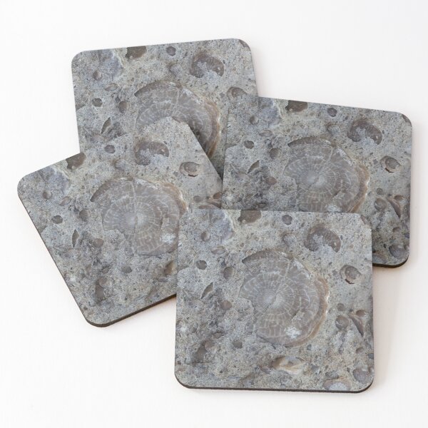 Item preview, A fossil nummulite, a large single-celled organism, in a limestone of Palaeogene age. designed and sold by Zosimus.