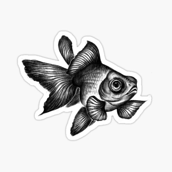 Goldfish Sticker