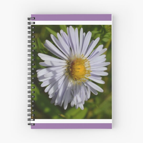Item preview, Aromatic aster designed and sold by LizardSpirit.
