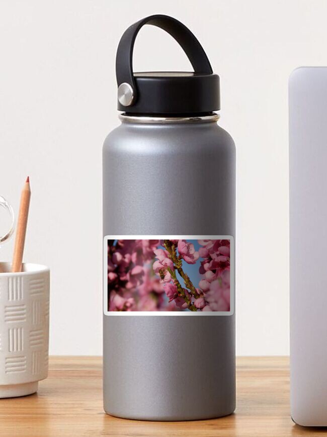 Thumbnail 1 of 3, Sticker, Busy as a Bee - Spring at Magpie Springs by Avril Thomas designed and sold by MagpieSprings.