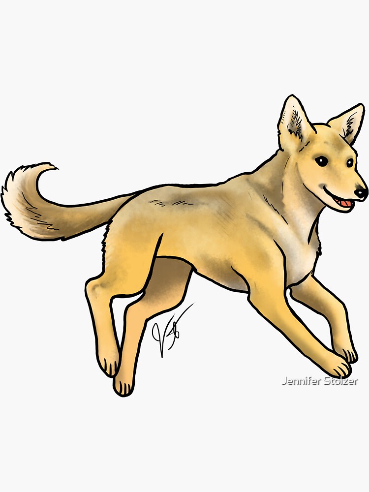 Carolina Dog by jameson9101322
