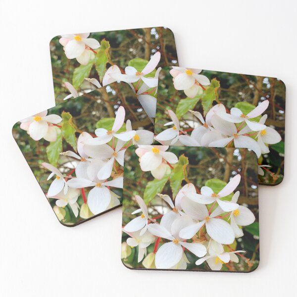 Item preview, Monterey Floral Study 4  designed and sold by Robert Meyers-Lussier.
