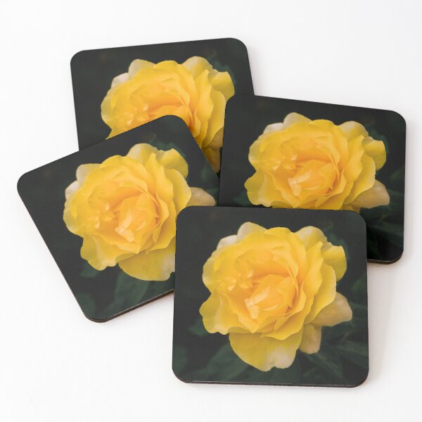 Item preview, Happy Go Lucky yellow rose for flower enthusiast designed and sold by Chee Sim.