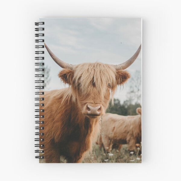 Item preview, Curious Highland Cow designed and sold by chelseavictoria.