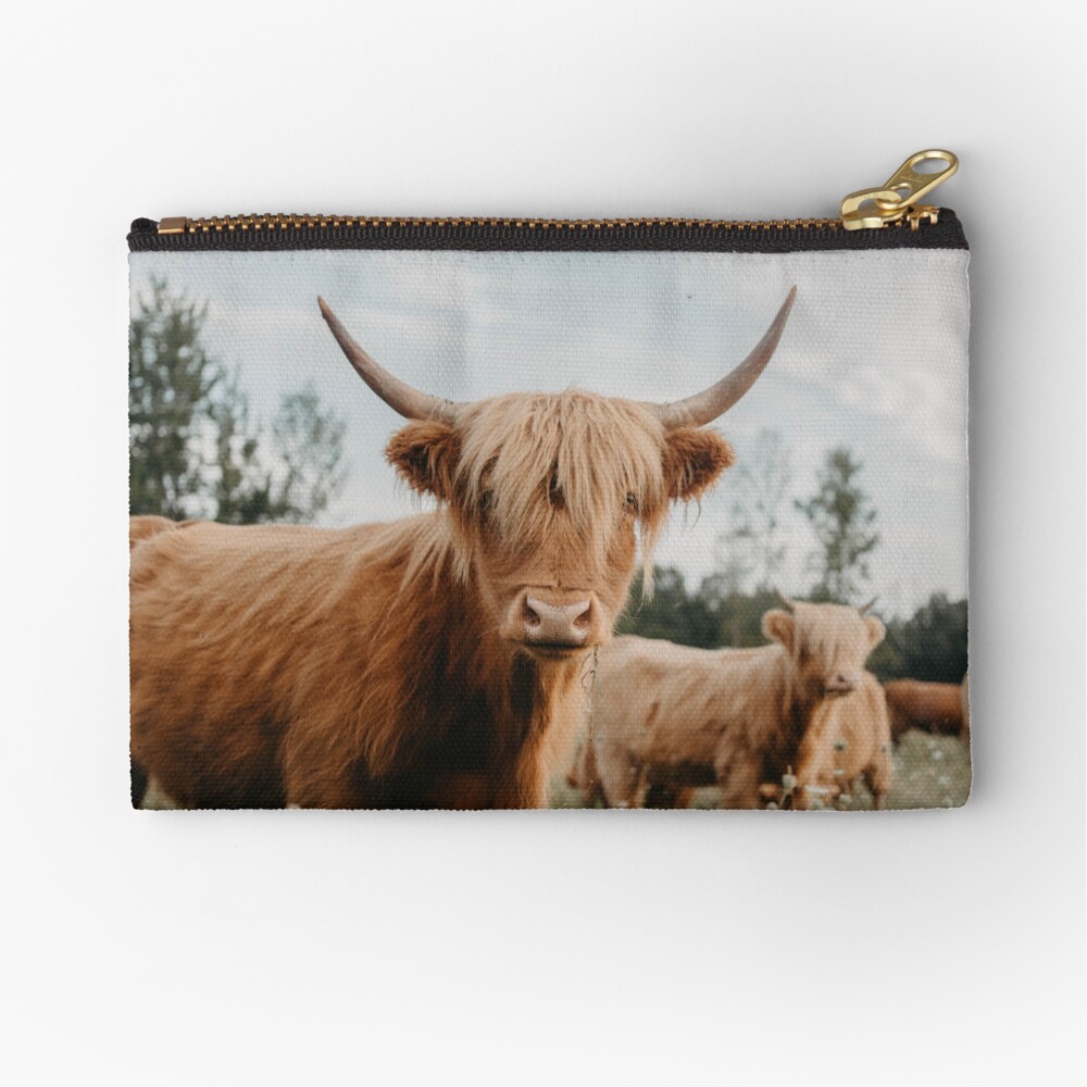 Curious Highland Cow Zipper Pouch