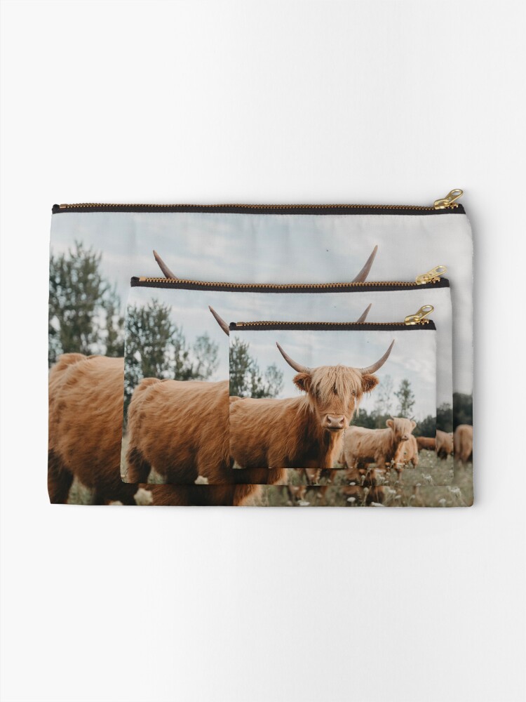 Alternate view of Curious Highland Cow Zipper Pouch