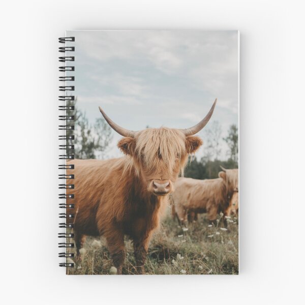 Item preview, The Curious Cow No 2 designed and sold by chelseavictoria.