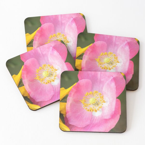 Item preview, Shirley Poppy 2019-3 designed and sold by Thomasyoung.