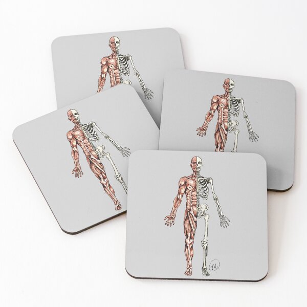 Half Muscle - Half Skeleton Coasters (Set of 4)