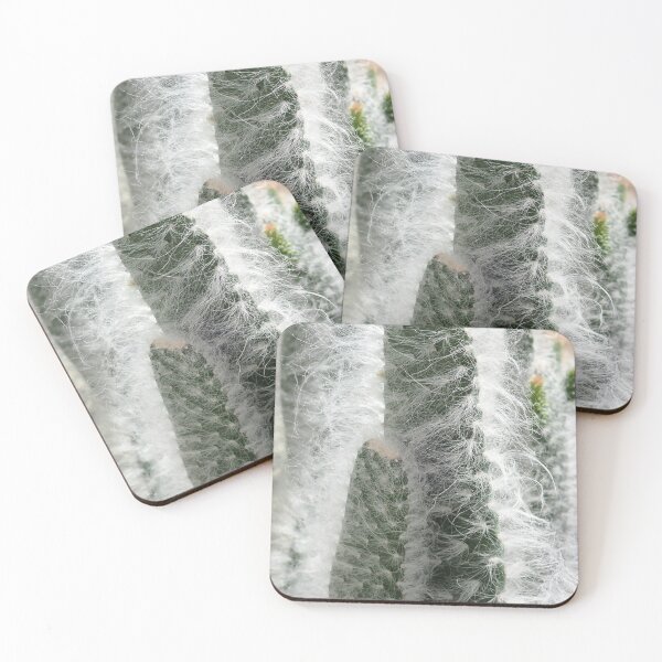 Item preview, Cotton Cactus designed and sold by Allen Penton.