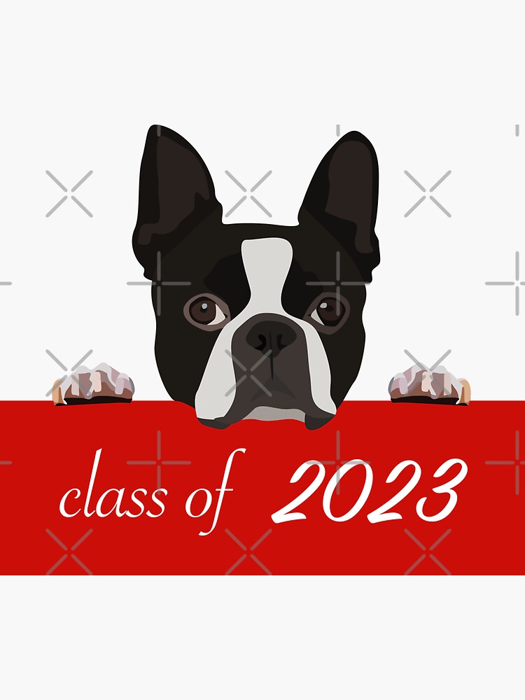 "BU class of 2023" Sticker by libbymcclelland Redbubble