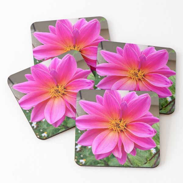 Item preview, Monterey Floral Study 6  designed and sold by Robert Meyers-Lussier.