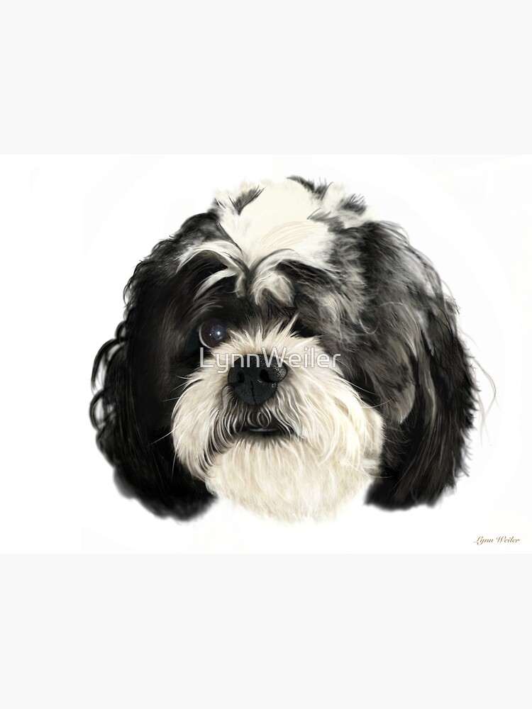 Oreo transparent background Greeting Card