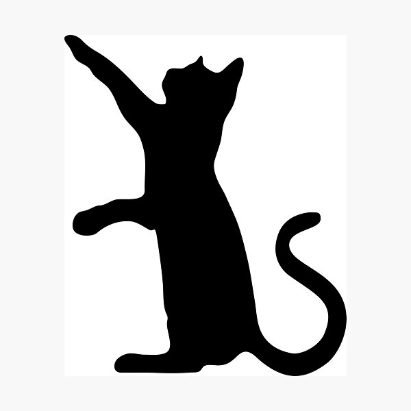 Playful Cat Silhouette Photographic Print By Candiceclair Redbubble Playful Cat Silhouette Photographic Print By Candiceclair Redbubble