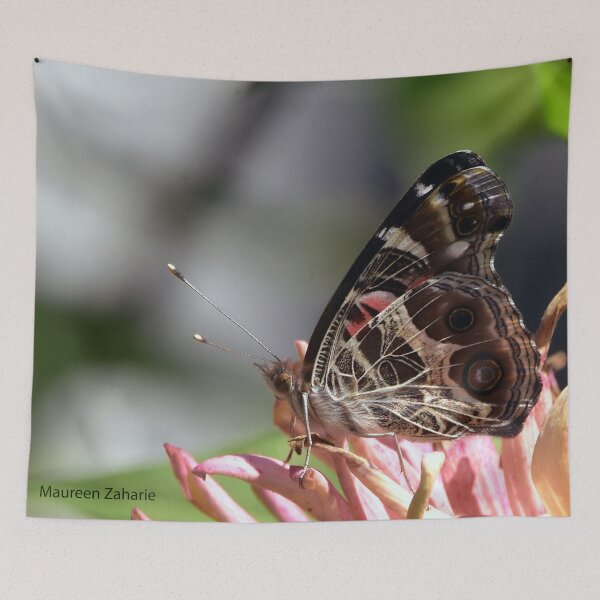 Item preview, butterfly designed and sold by Maureen Zaharie.