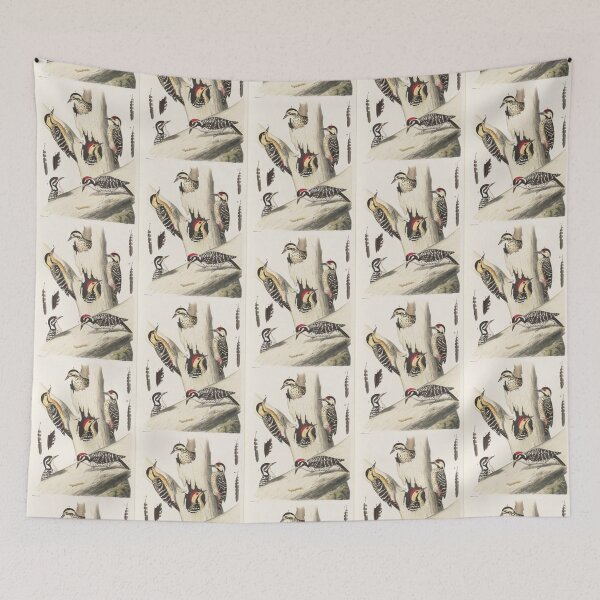 Item preview, Naturalist Woodpecker designed and sold by BlueSpecsStudio.