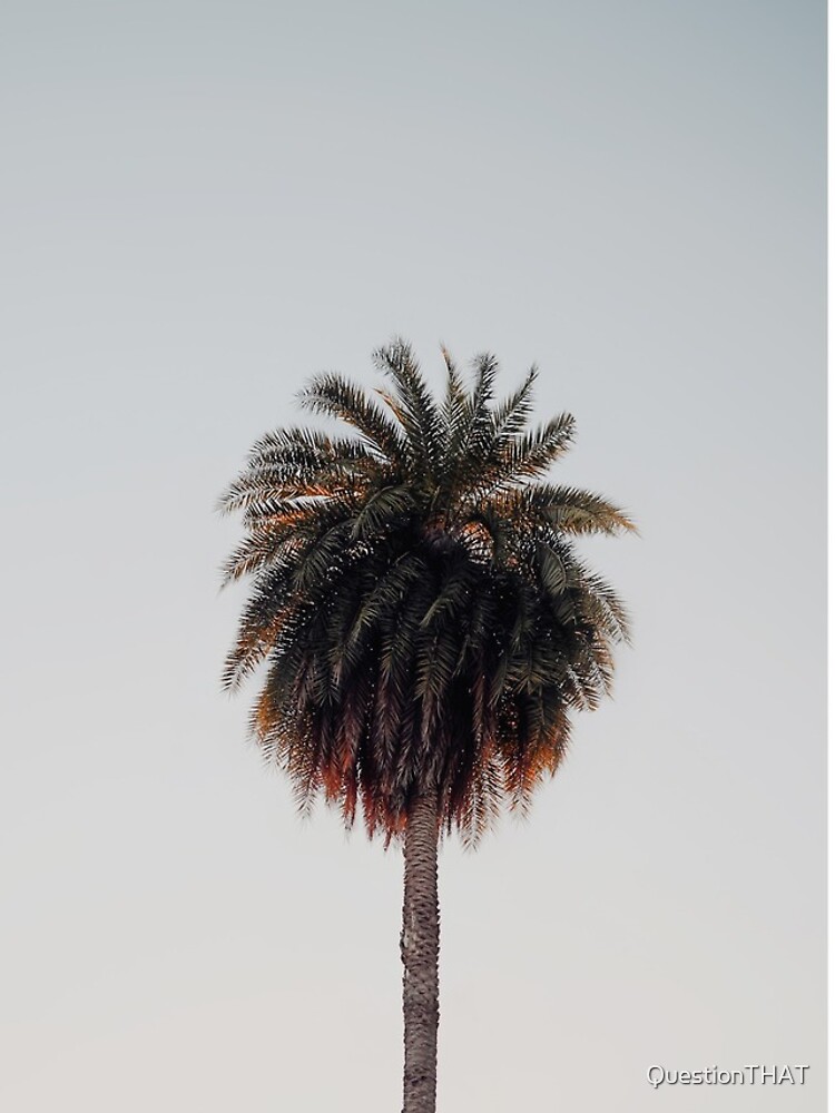 Thumbnail 4 of 4, iPhone Case, Palm Tree designed and sold by QuestionTHAT.