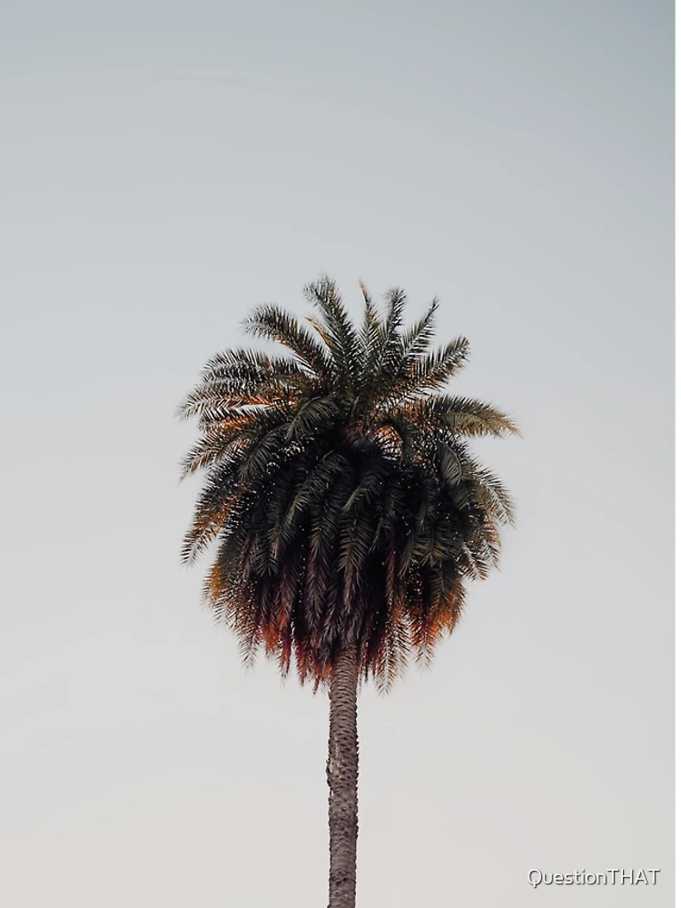 Thumbnail 5 of 5, iPhone Case, Palm Tree designed and sold by QuestionTHAT.