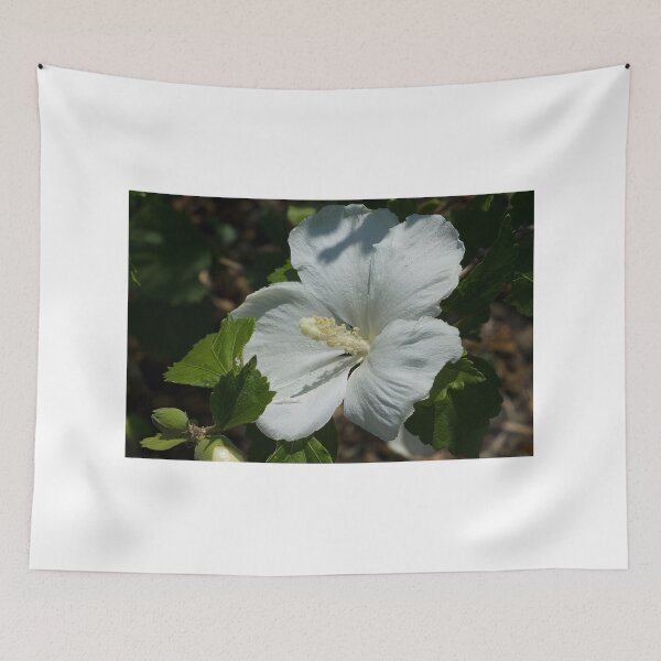 Item preview, Purity designed and sold by Brenda Burnett.