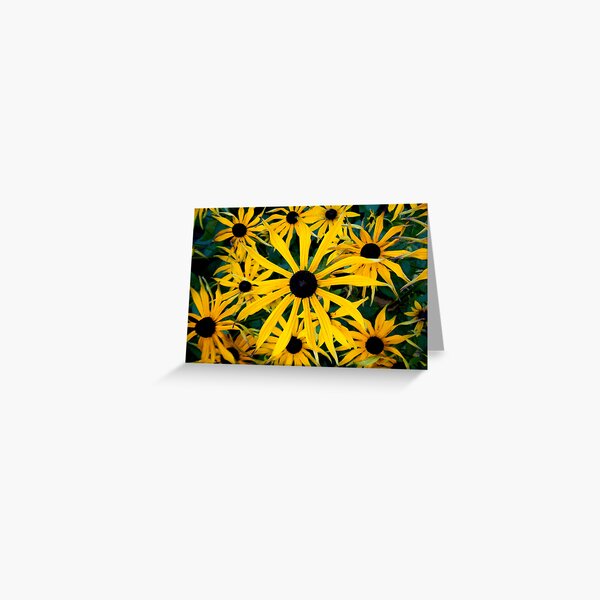The Magic of Circles Greeting Card