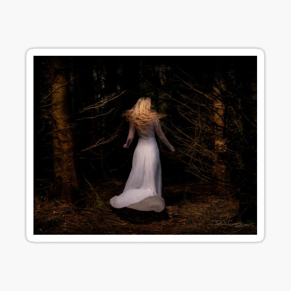 A Place between the Pines No 4 Sticker