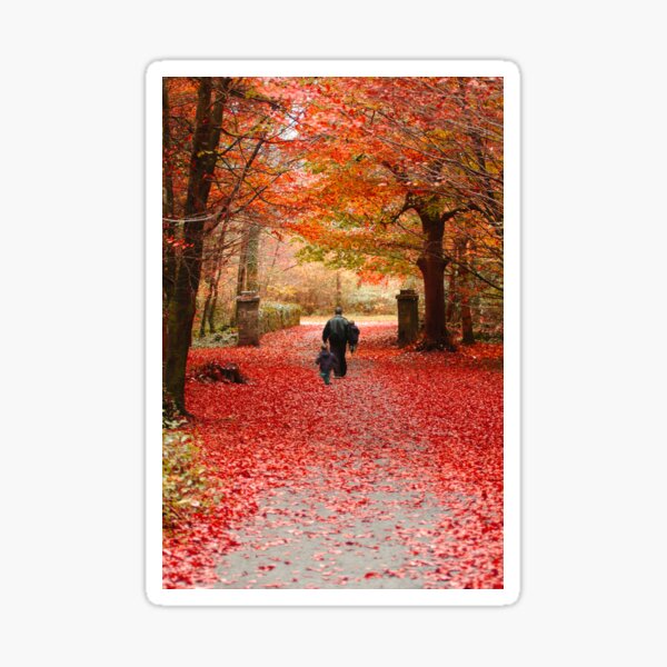 Coole Park Autumn 1 Sticker