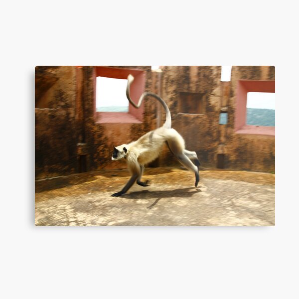 Run Baby Run Metal Print