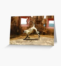 Run Baby Run Greeting Card