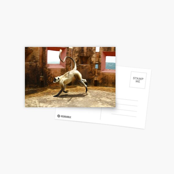 Run Baby Run Postcard
