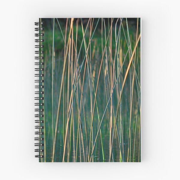 Aperçu de l'œuvre reeds 2 créée et vendue par fishinmusician.