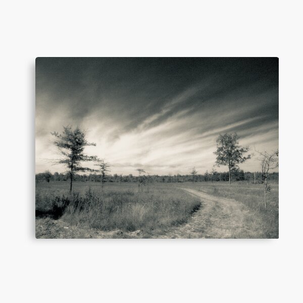 Irwin Prairie State Nature Preserve Photograph Canvas Print