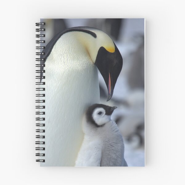 Item preview, Snowhill Emperor and Chick designed and sold by Steve Bulford.