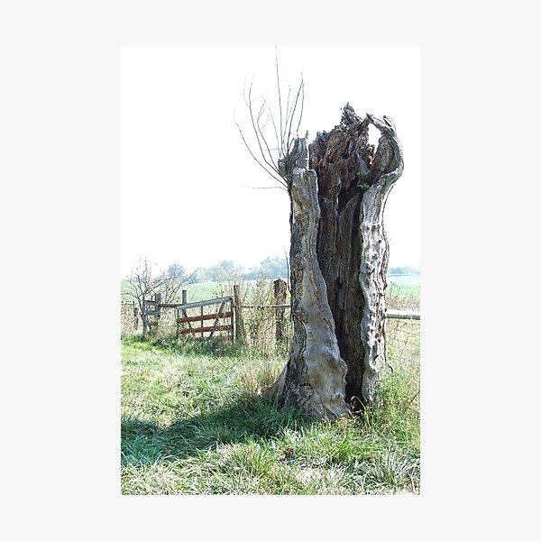Item preview, standing still designed and sold by g richard anderson.