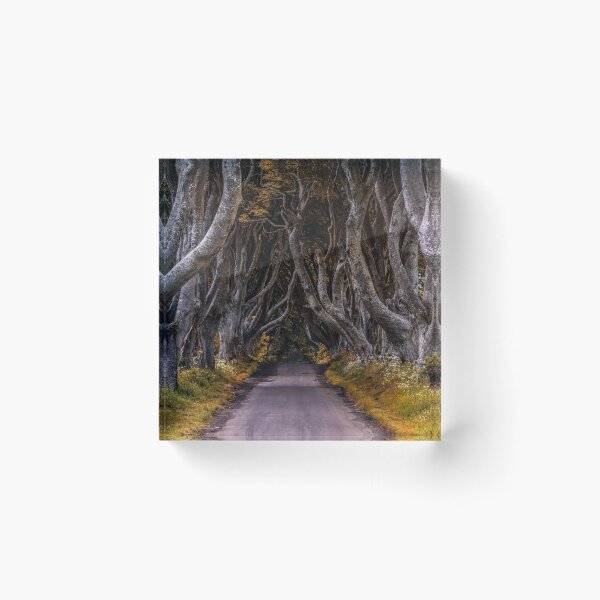 Item preview, Visiting Dark Hedges designed and sold by JBlaminsky.