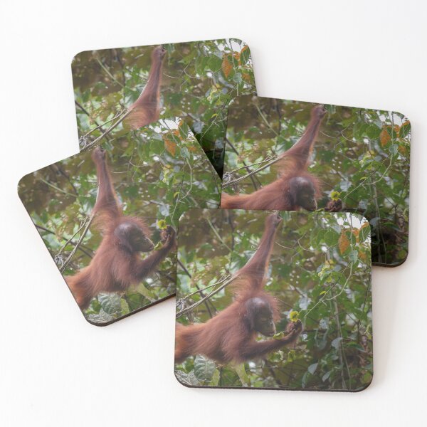 Item preview, Young Orangutan - Borneo designed and sold by Steve Bulford.