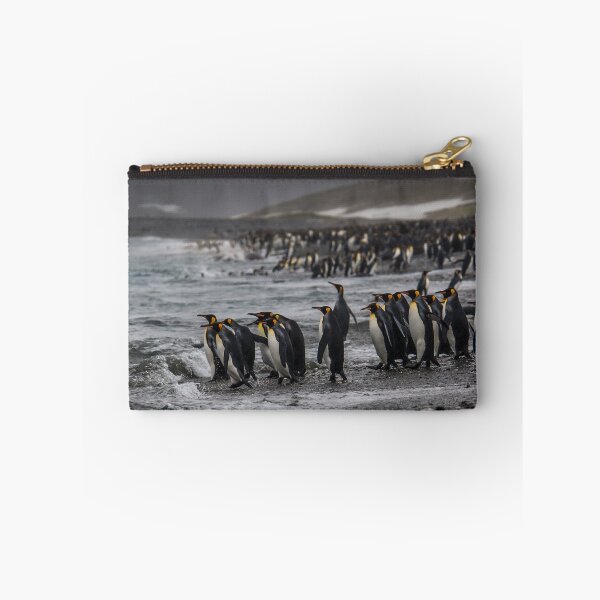 Item preview, King Penguin Beach - South Georgia designed and sold by Steve Bulford.