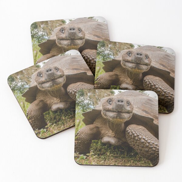 Item preview, Galapagos Giant Tortoise designed and sold by Steve Bulford.