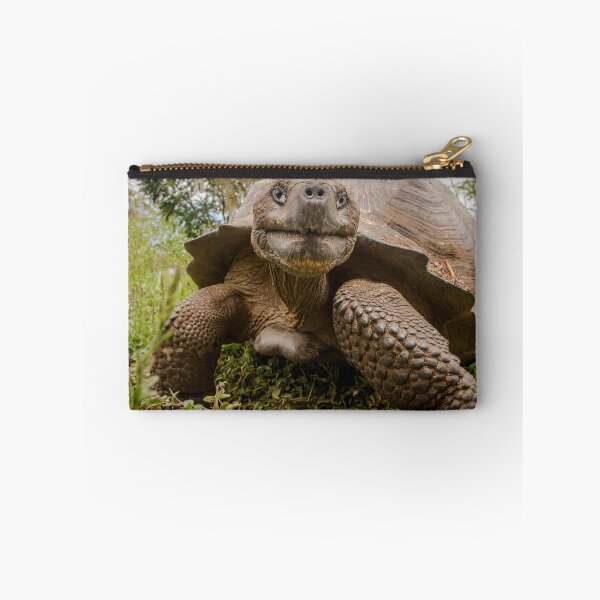 Item preview, Galapagos Giant Tortoise designed and sold by Steve Bulford.