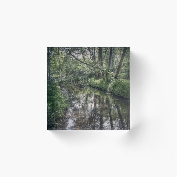 Into the Sheer's wood! Acrylic Block
