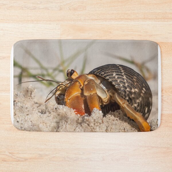 Item preview, Hermit Crab designed and sold by Steve Bulford.