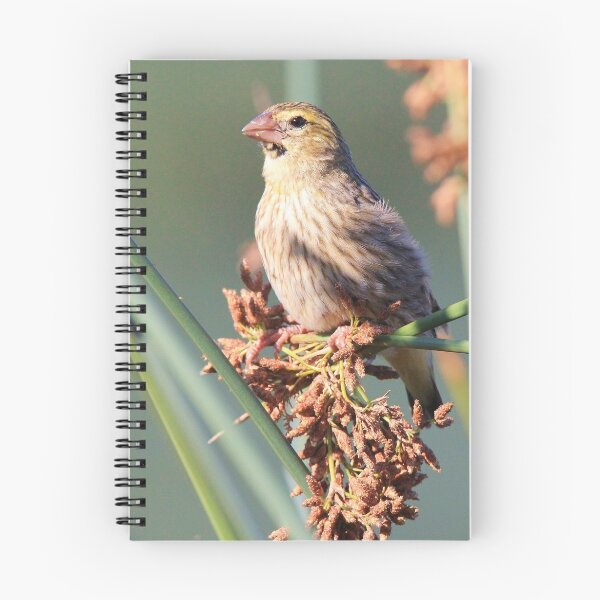 Item preview, Red Bishop Female having Lunch designed and sold by Chantelle Benade.