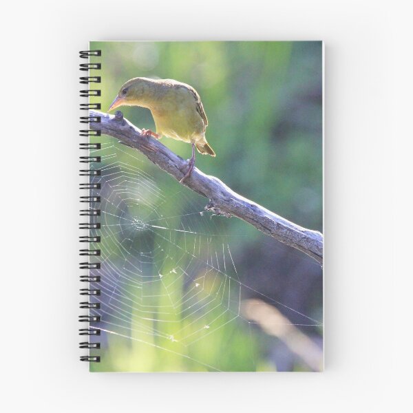 Item preview, Spider web art designed and sold by Chantelle Benade.