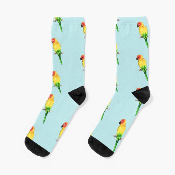 Sun conure Socks
