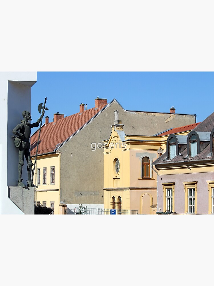 "old houses and knight sculpture street in Eger Hungary" Poster for