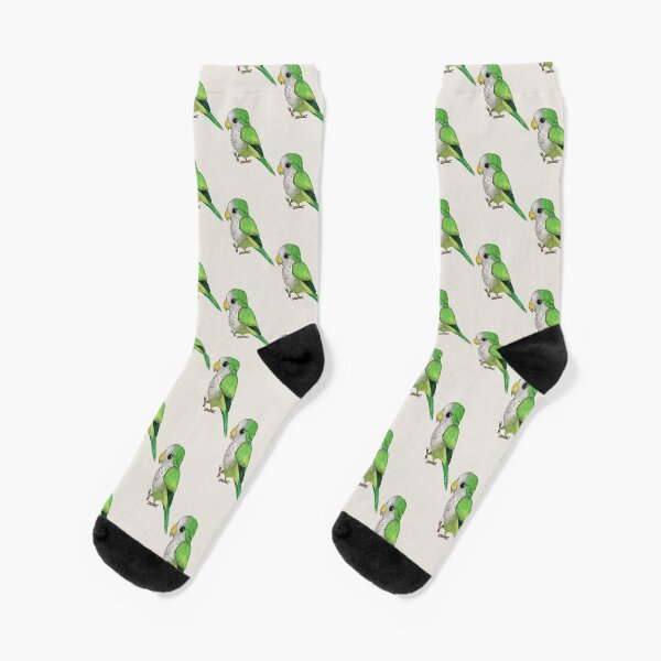 Very cute green quaker parrot Socks