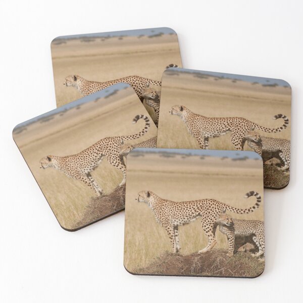 Item preview, Cheetah Tails designed and sold by Steve Bulford.