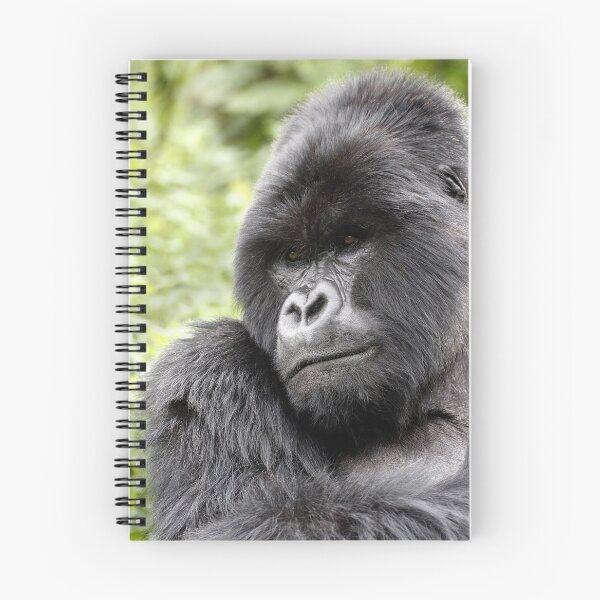 Item preview, Silverback designed and sold by Steve Bulford.