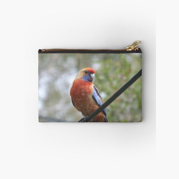 Item preview, Australian Native Juvenile Rosella. Sitting on power line. designed and sold by RitaBlom.