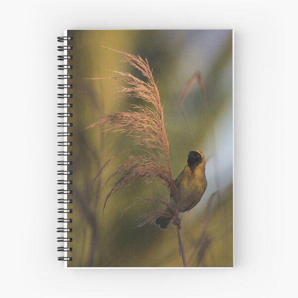 Item preview, Southern Masked-Weaver designed and sold by Chantelle Benade.
